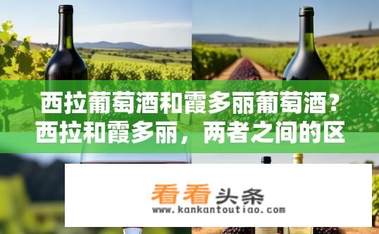 西拉葡萄酒和霞多丽葡萄酒？西拉和霞多丽，两者之间的区别与优劣比较