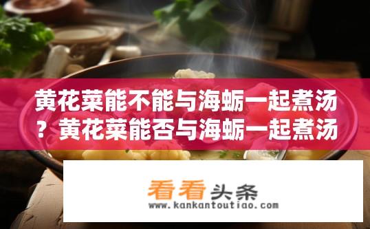 黄花菜能不能与海蛎一起煮汤？黄花菜能否与海蛎一起煮汤?