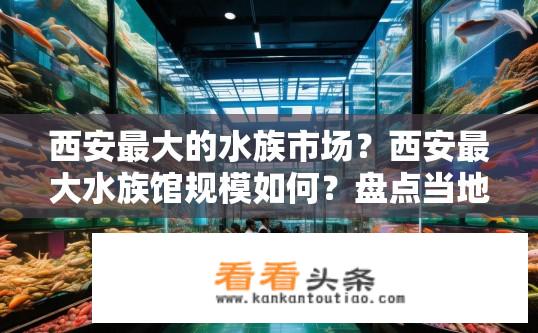 西安最大的水族市场？西安最大水族馆规模如何？盘点当地最值得一看的水族市场