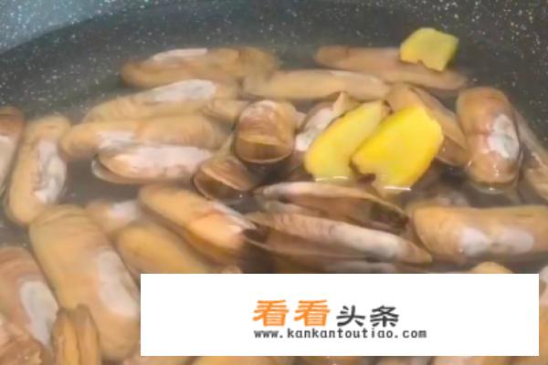 竹节蛏是什么？