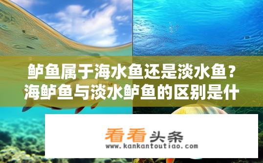 鲈鱼属于海水鱼还是淡水鱼？海鲈鱼与淡水鲈鱼的区别是什么?