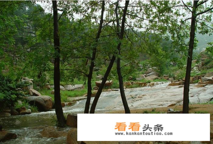 抱犊崮风景区和莲青山哪个好玩？