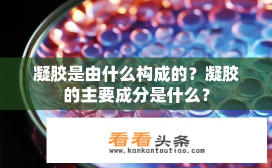 凝胶是由什么构成的？凝胶的主要成分是什么？