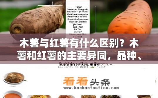 木薯与红薯有什么区别？木薯和红薯的主要异同，品种、营养价值、食用方式及健康影响