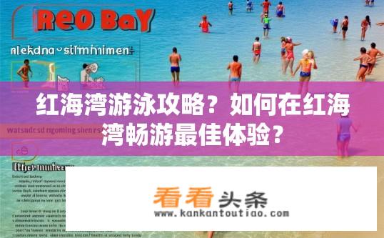 红海湾游泳攻略？如何在红海湾畅游最佳体验？