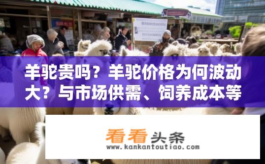 羊驼贵吗？羊驼价格为何波动大？与市场供需、饲养成本等因素有关?
