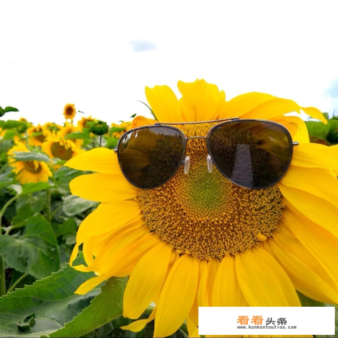 从乌鲁木齐出发自驾游，到伊犁玩5天，该如何规划好行程？