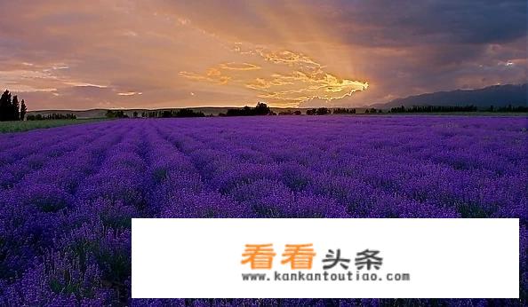 从乌鲁木齐出发自驾游，到伊犁玩5天，该如何规划好行程？
