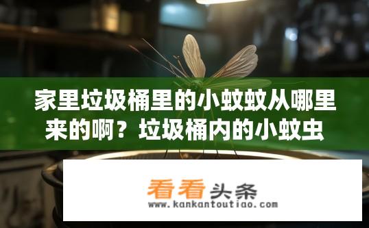 家里垃圾桶里的小蚊蚊从哪里来的啊？垃圾桶内的小蚊虫源头何在？