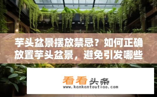 芋头盆景摆放禁忌？如何正确放置芋头盆景，避免引发哪些常见问题?
