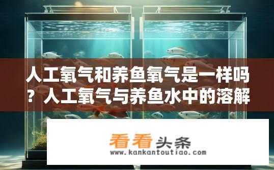 人工氧气和养鱼氧气是一样吗？人工氧气与养鱼水中的溶解氧有何异同？