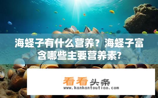 海蛏子有什么营养？海蛏子富含哪些主要营养素?