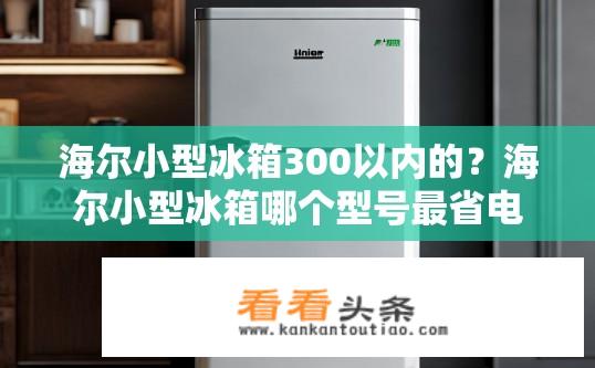 海尔小型冰箱300以内的？海尔小型冰箱哪个型号最省电且耐用?