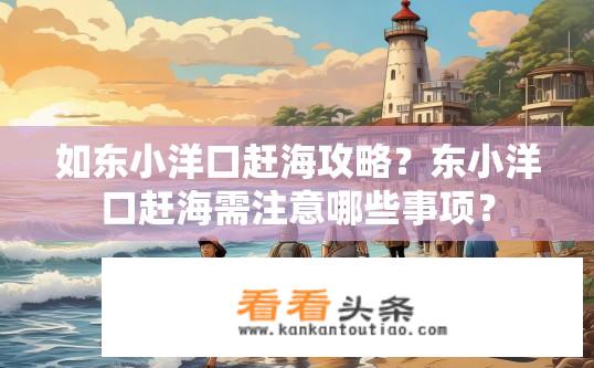 如东小洋口赶海攻略？东小洋口赶海需注意哪些事项？