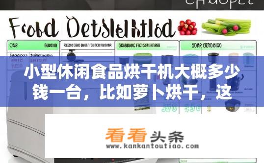 小型休闲食品烘干机大概多少钱一台，比如萝卜烘干，这类型小型烘干设备？萝卜烘干机价格及规格种类，小型休闲食品烘干机的详细比较与选购指南