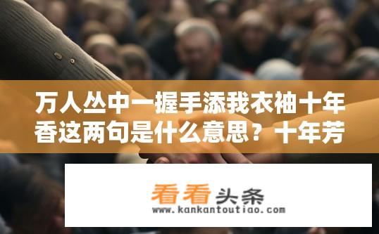 万人丛中一握手添我衣袖十年香这两句是什么意思？十年芳华如梦散，万人之中只握你手。香满世间情未了，千年余韵润衣袖。