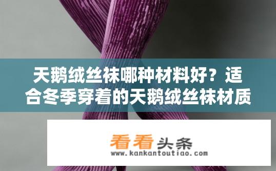 天鹅绒丝袜哪种材料好？适合冬季穿着的天鹅绒丝袜材质哪个更好?