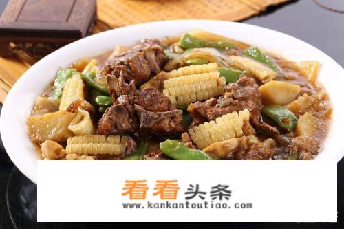 佛手瓜和瓠子一样的菜吗?能烩菜吗?