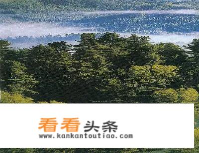 国内哪些景点适合5，6月份旅行？