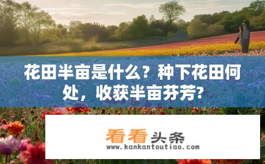 花田半亩是什么？种下花田何处，收获半亩芬芳?