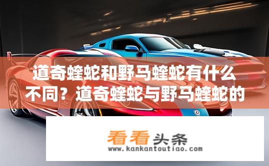 道奇蝰蛇和野马蝰蛇有什么不同？道奇蝰蛇与野马蝰蛇的主要区别，性能、设计、用途与车身结构有何异同?