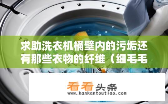 求助洗衣机桶壁内的污垢还有那些衣物的纤维（细毛毛）怎么清理呀？洗衣机桶内脏污及细毛毛如何清洁与清除？