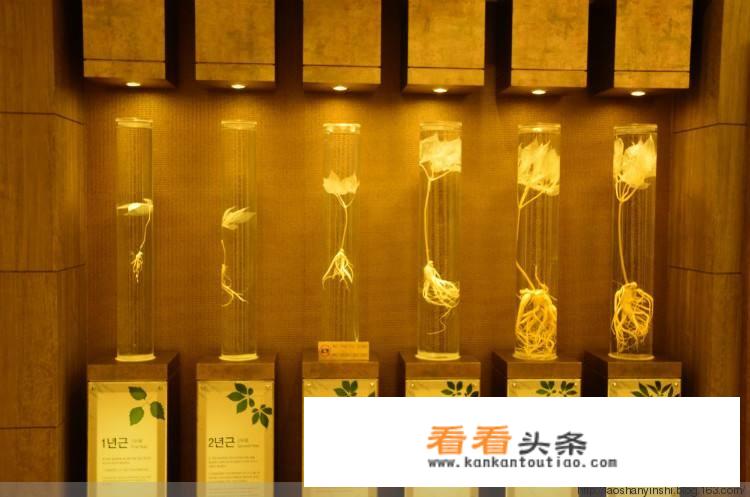 去韩国旅游买什么比较划算比较好？