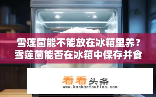 雪莲菌能不能放在冰箱里养？雪莲菌能否在冰箱中保存并食用?