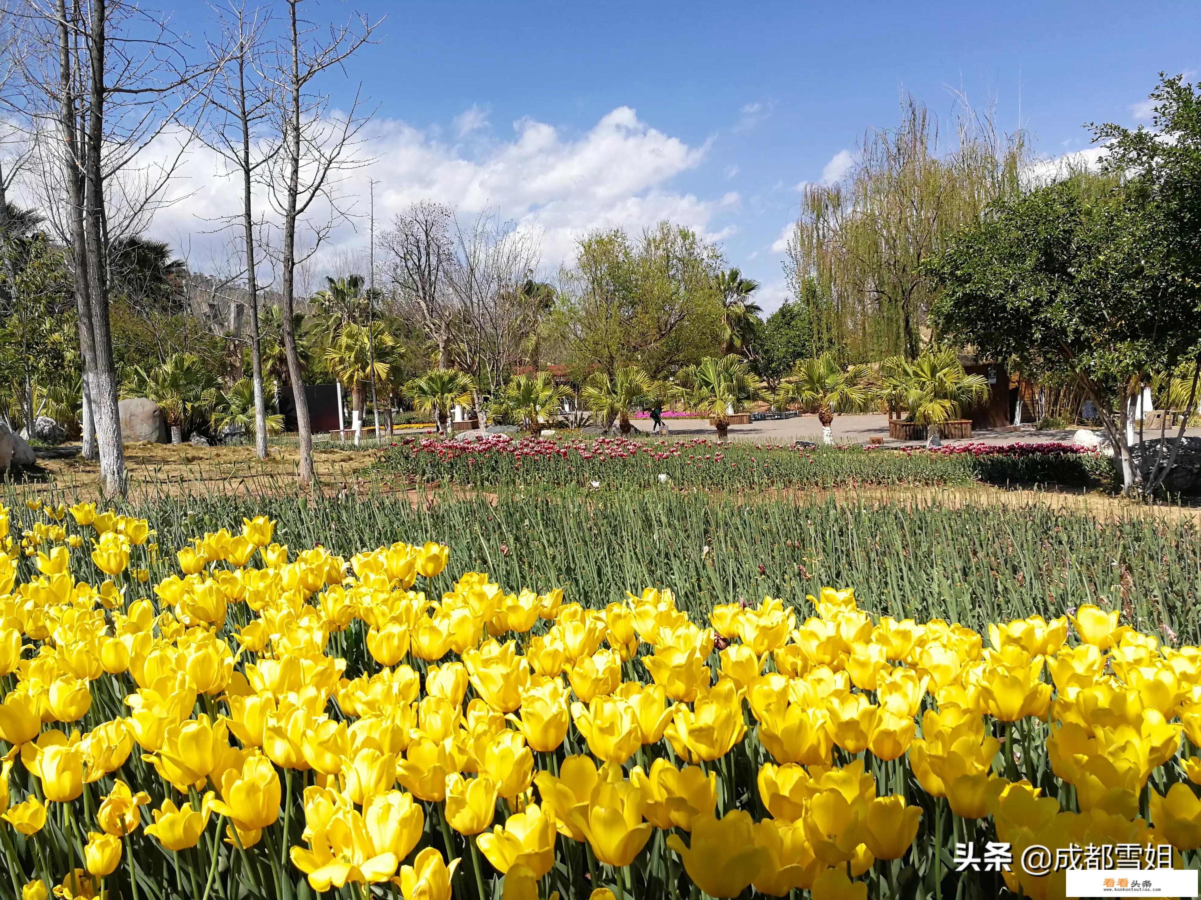 12月去哪旅游好？