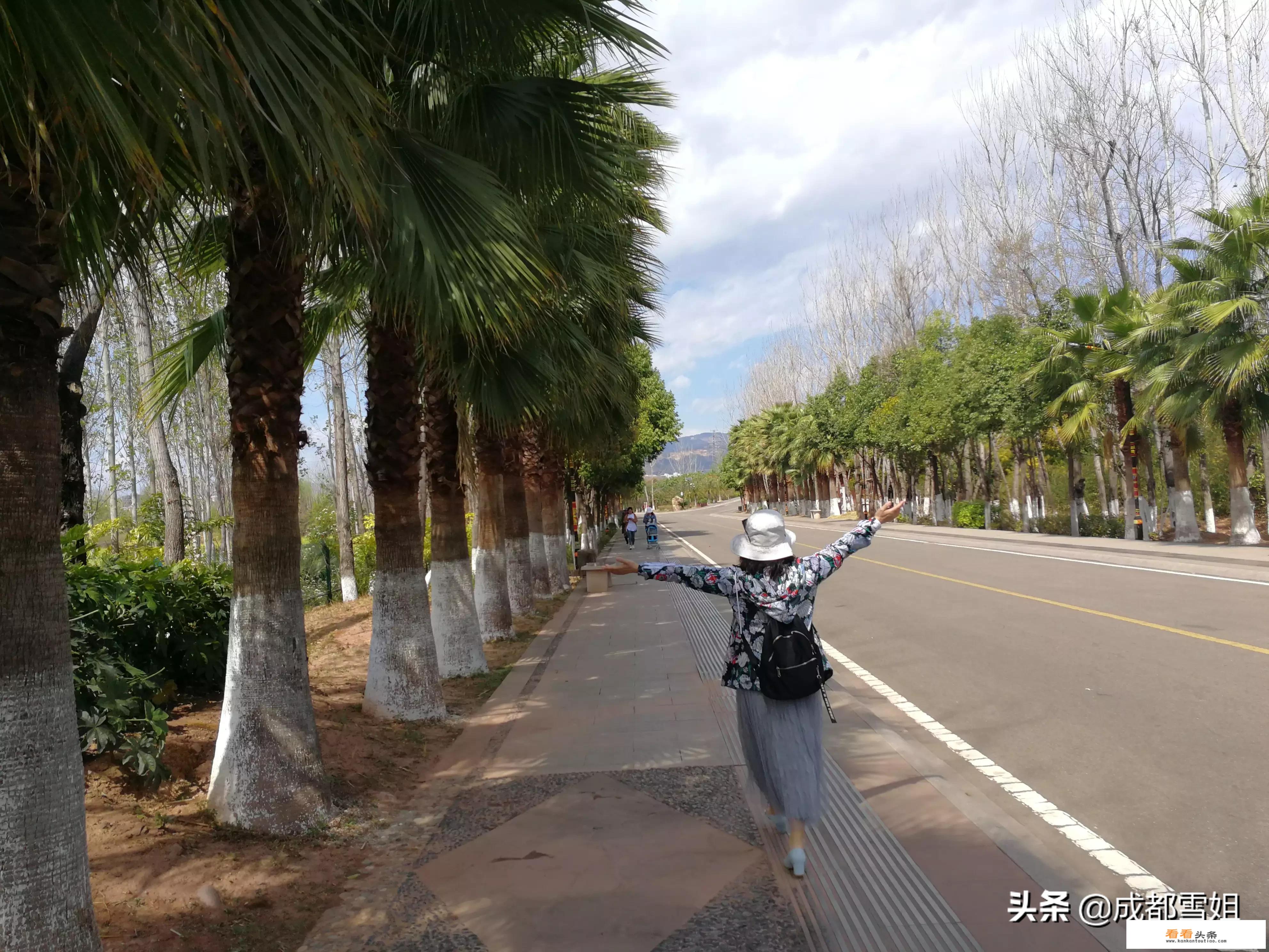 12月去哪旅游好？
