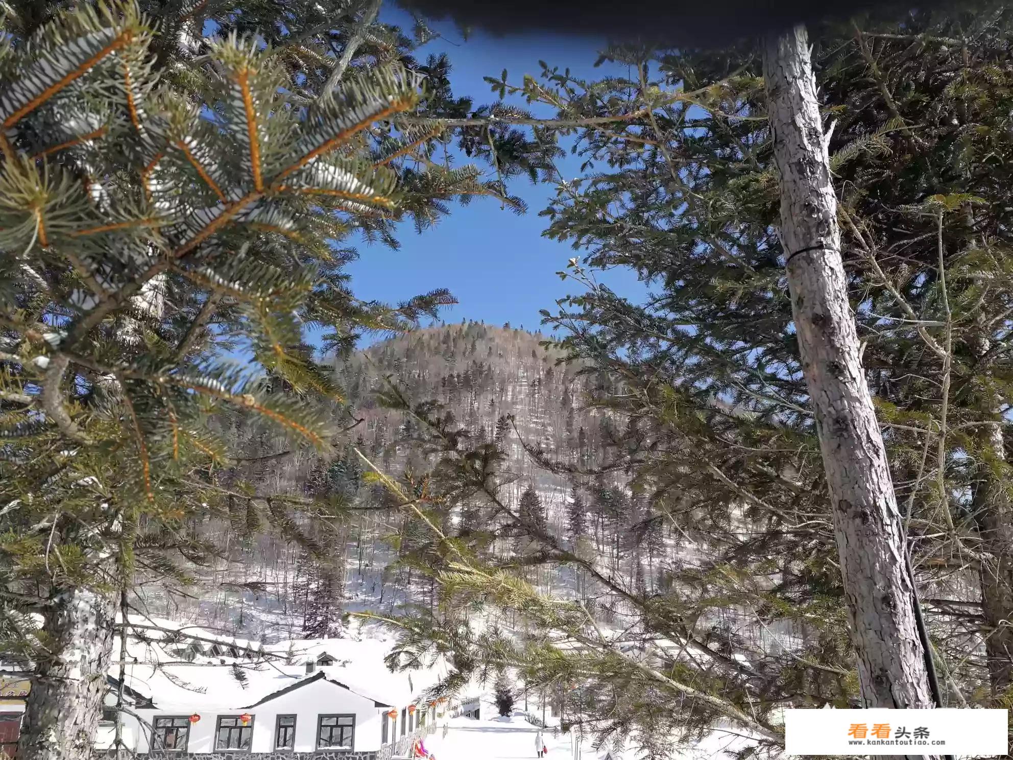 去哈尔滨雪乡穿衣攻略？