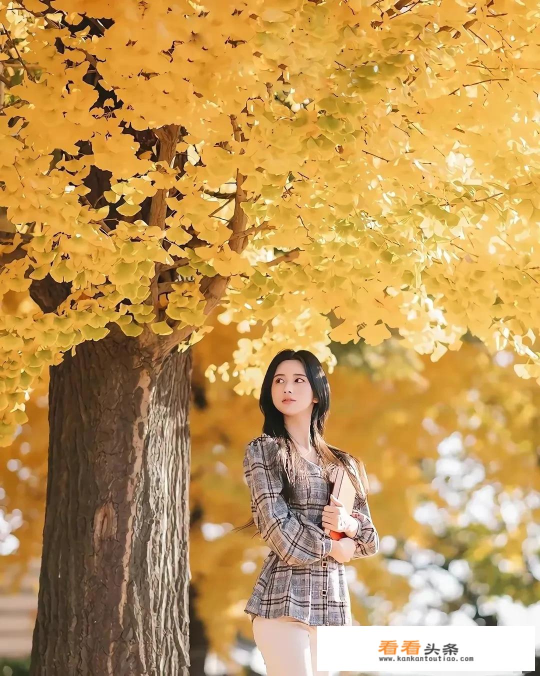 如果用二十年的生命换取绝色美貌，你愿意吗？
