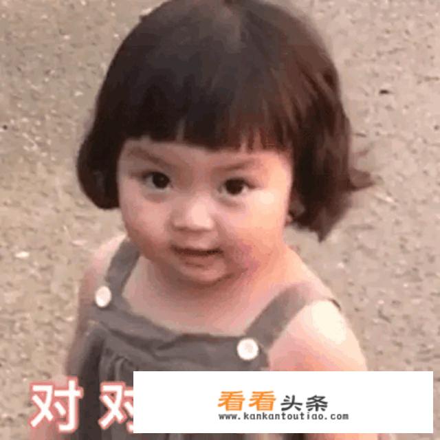 请问双十一买什么最划算？有哪些推荐？