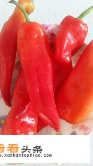 怎么腌制黄瓜咸菜好吃？