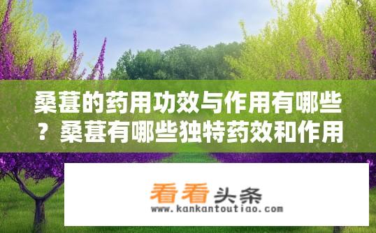 桑葚的药用功效与作用有哪些？桑葚有哪些独特药效和作用，能有效保健养生吗?