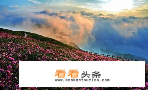 6、7月份你们想去哪旅行？