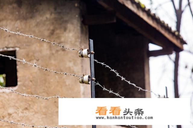 重庆科目四预约流程？