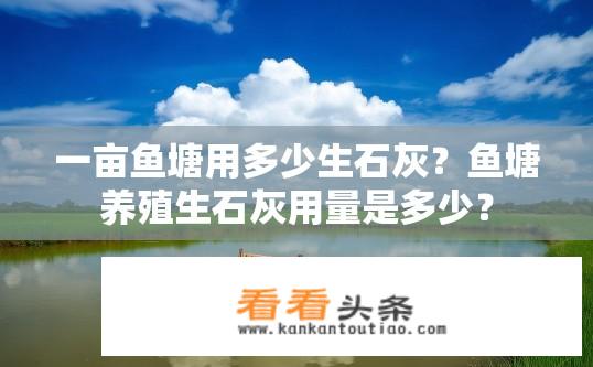 一亩鱼塘用多少生石灰？鱼塘养殖生石灰用量是多少？