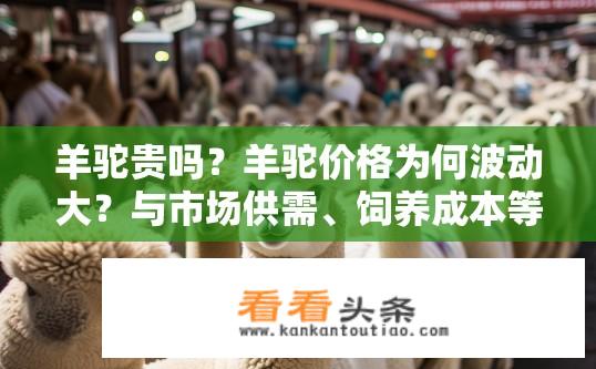 羊驼贵吗？羊驼价格为何波动大？与市场供需、饲养成本等因素有关?