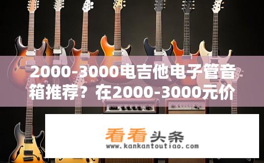 2000-3000电吉他电子管音箱推荐？在2000-3000元价位段内，哪些品牌和型号的电吉他电子管音箱能满足音乐爱好者的需求，有较高的音质表现和耐用性呢？