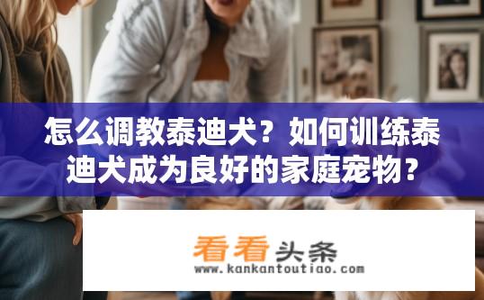 怎么调教泰迪犬？如何训练泰迪犬成为良好的家庭宠物？