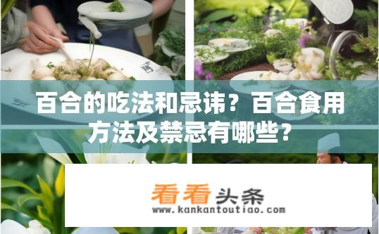 百合的吃法和忌讳？百合食用方法及禁忌有哪些？
