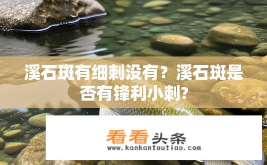 溪石斑有细刺没有？溪石斑是否有锋利小刺?