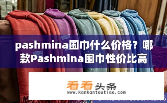 pashmina围巾什么价格？哪款Pashmina围巾性价比高？