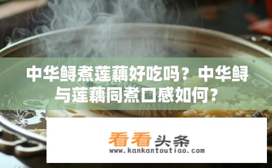 中华鲟煮莲藕好吃吗？中华鲟与莲藕同煮口感如何？