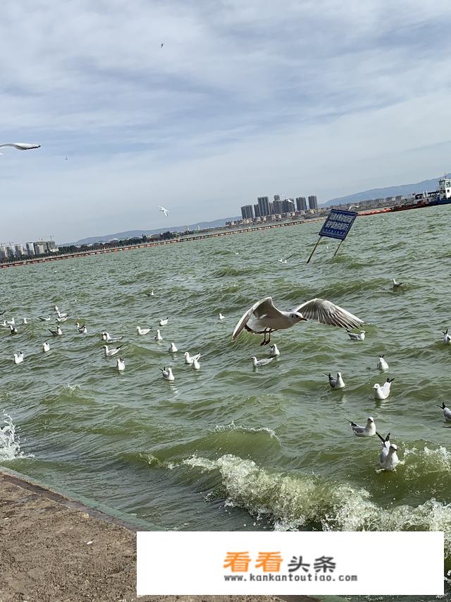 什么地方适合一个人心情不好的时候去旅游？
