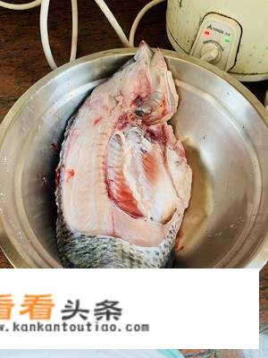 大鲫鱼家常做法？