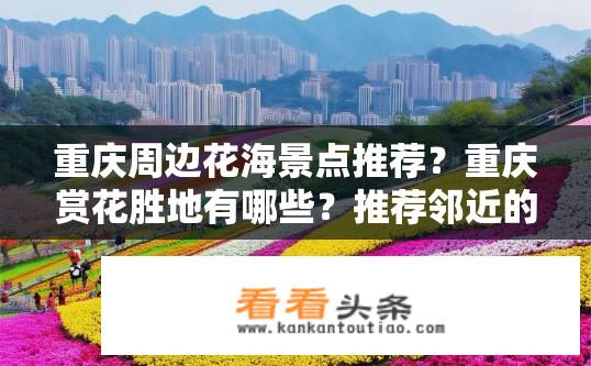 重庆周边花海景点推荐？重庆赏花胜地有哪些？推荐邻近的特色花海景点吗？