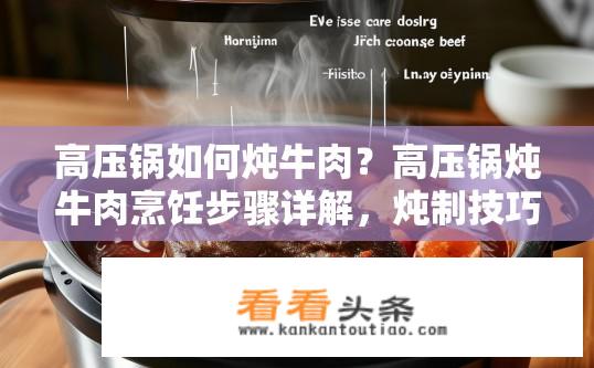 高压锅如何炖牛肉？高压锅炖牛肉烹饪步骤详解，炖制技巧与口感解析