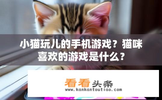 小猫玩儿的手机游戏？猫咪喜欢的游戏是什么？